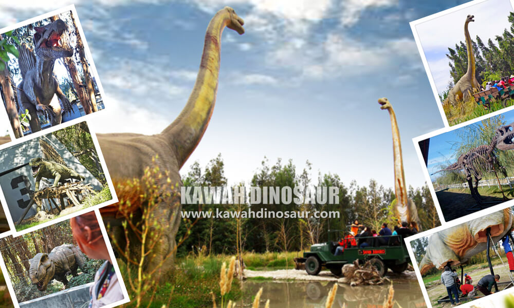 2 Parque Safari Park Chile