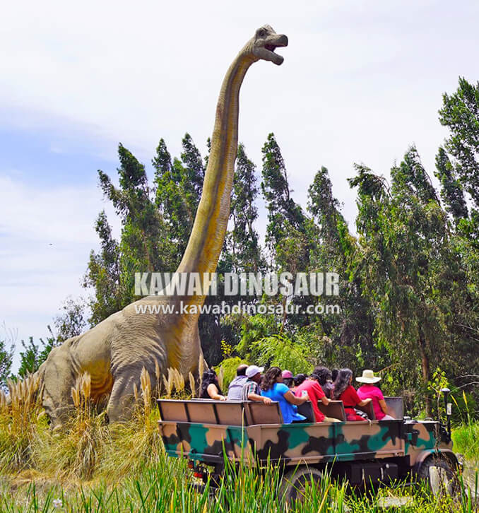 4 Parque Safari Park Chile