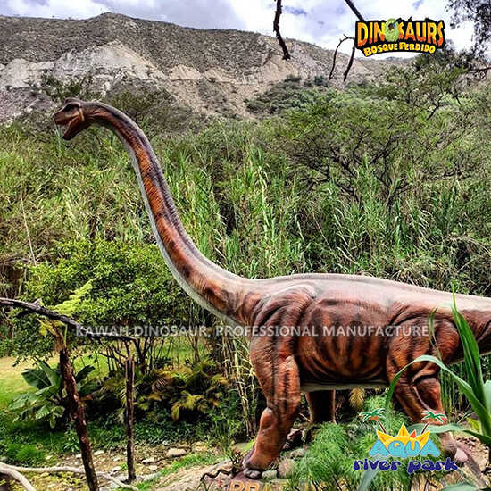 Brachiosaurus දිගු ගෙල සහිත Aqua River Park (4)