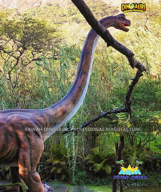 UBrachiosaurus wayefuna ukudla amaqabunga e-Aqua River Park (5)
