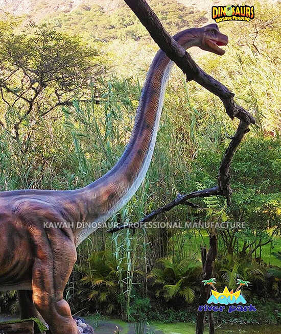 Brachiosaurus, Aqua River Park'ın yapraklarını yemek istedi (5)