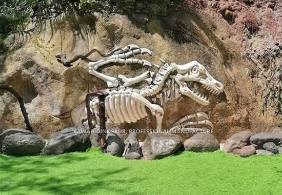 Fósseis de dinossauros da antiguidade Aqua River Park (8)
