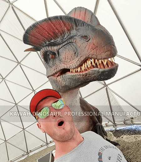 Wow, îmi place acest dinozaur din Dinopark Tatry (5)