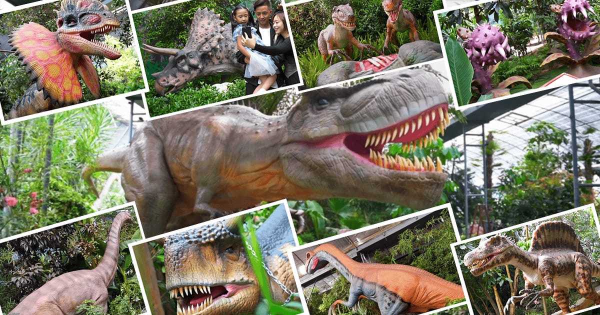 Vieni a esplorare il Jurassic Dinosaur Park Immersive Indoor (6)