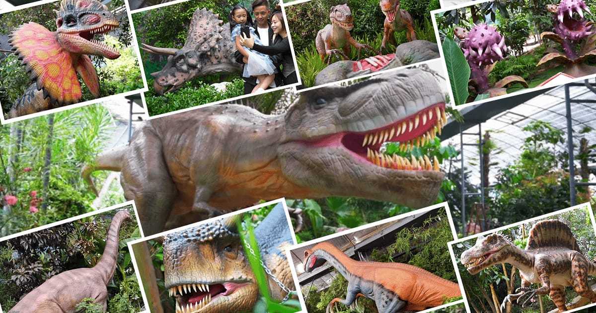 Kommen Sie und erkunden Sie den Jurassic Dinosaur Park Immersive Indoor (6)