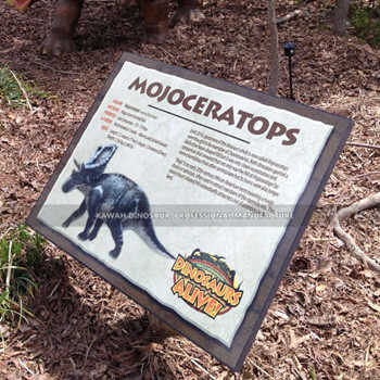 Kawah Display Card Design