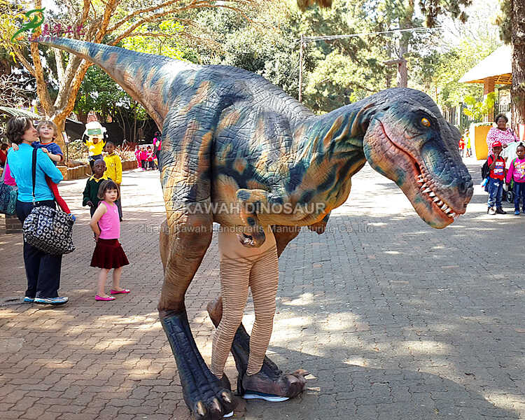 ODM Simulation Dinosaur Ride Manufacturer – Dino Zoo Park Kids
