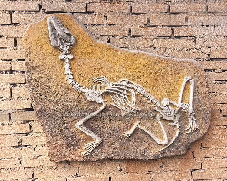 Réplica de Esqueleto de Dinossauro Fóssil Simulado Zigong Dinosaur