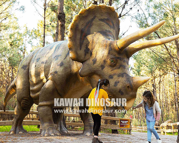 1 Do you know these secrets about Triceratops