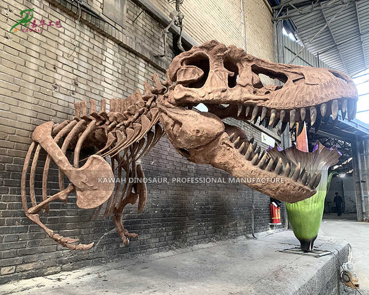 China Cheap price T Rex Skull Replica Full Size – Factory