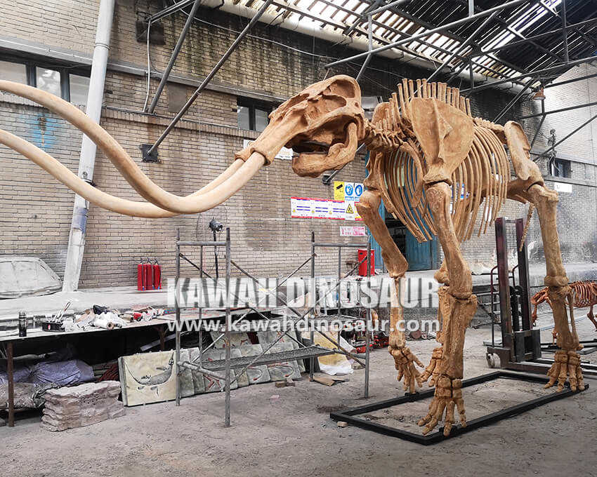 1 Dinosaur Skeleton ပုံတူများ ပြုလုပ်ပုံ