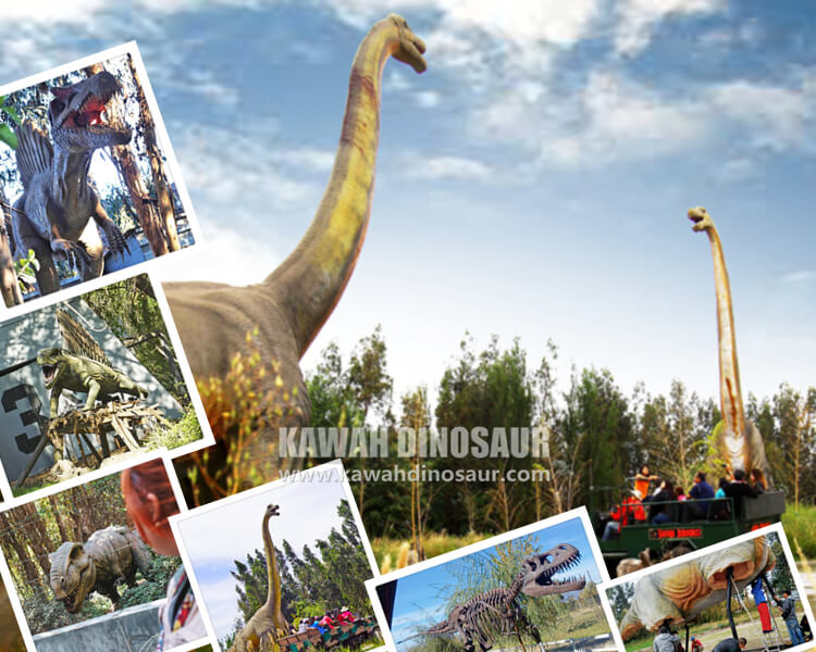 1 Parque Safari Park Chile