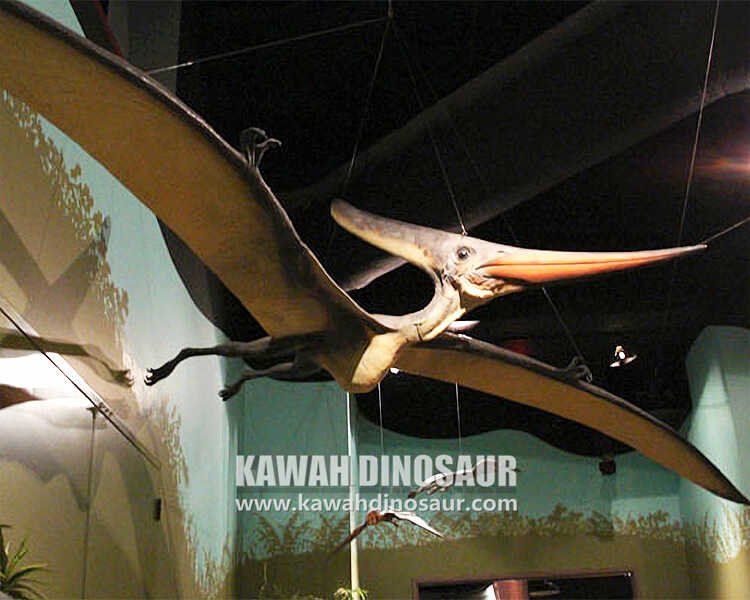 1 Pterosaurus sanés dinosaurus