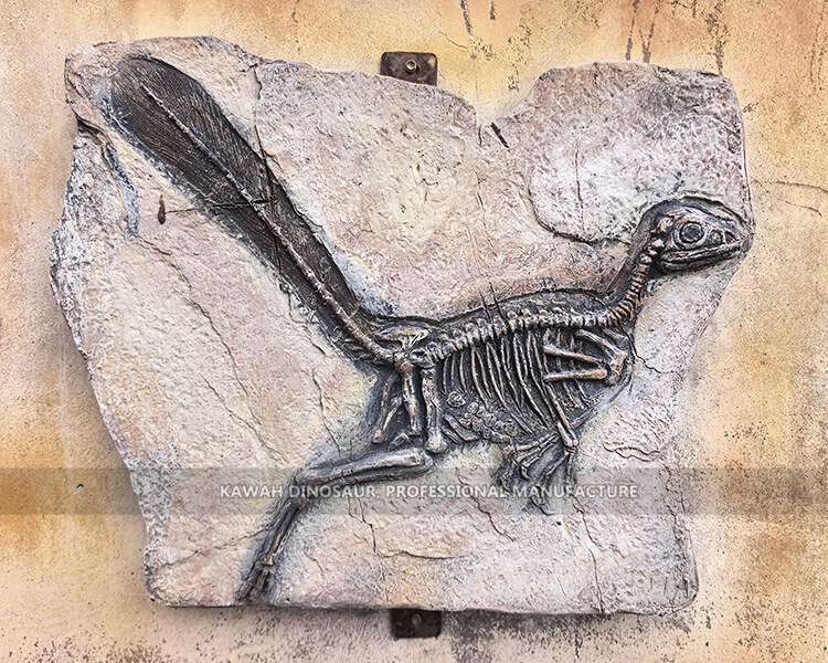 恐竜化石レプリカ リアルな恐竜化石レプリカ、公園考古学用模擬恐竜骨格 SR-1831