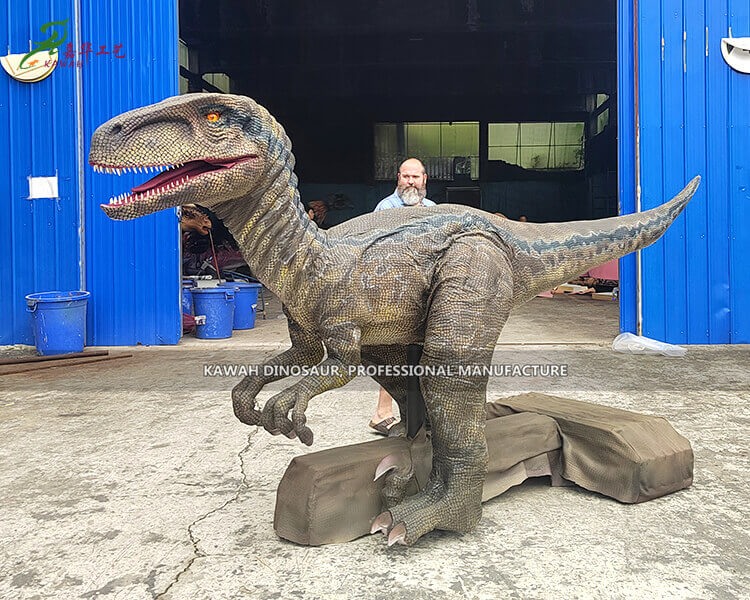 Realistic Velociraptor Animatronic Stage Walking Dinosaur Kawah ...