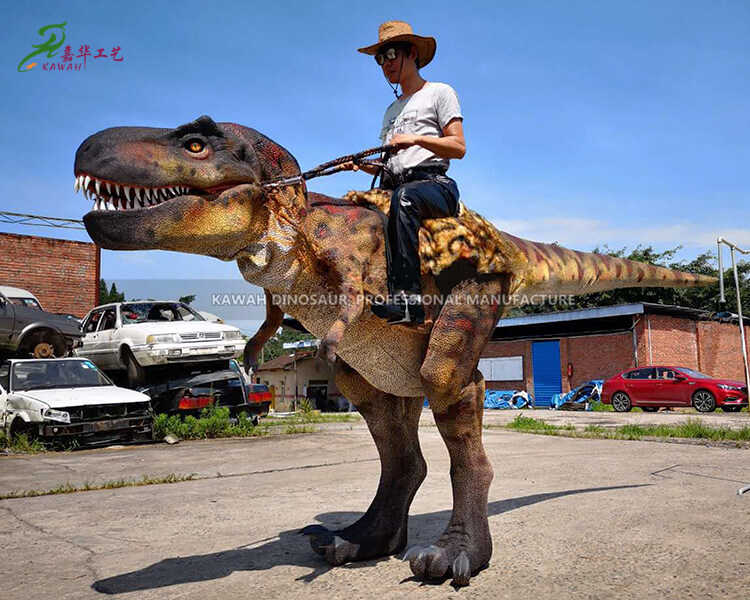 DINOSAUR DESIGN　空豆リング Dinosaur Maker Company – Riding Dinosaur Costume T Rex
