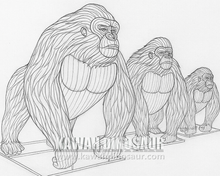 1 zigong Lantern Manufacturing gorilla drawing