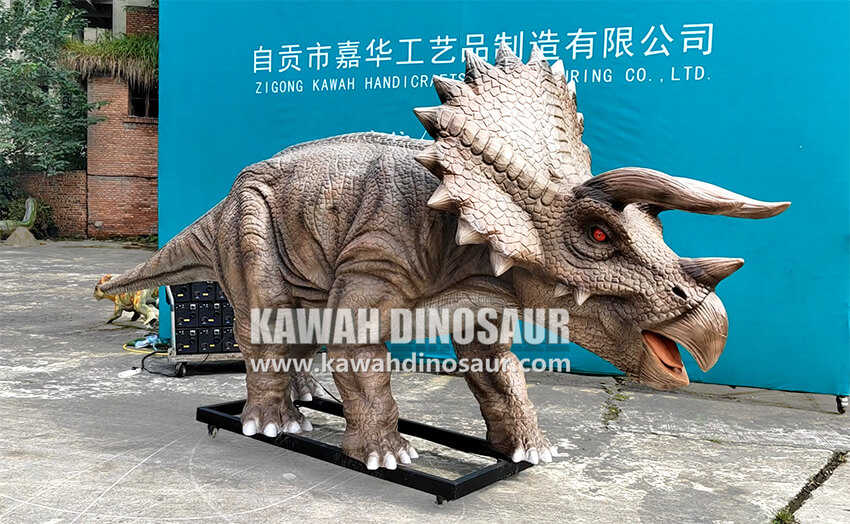 11 Lengte 5M Hoogte 2M Triceratops