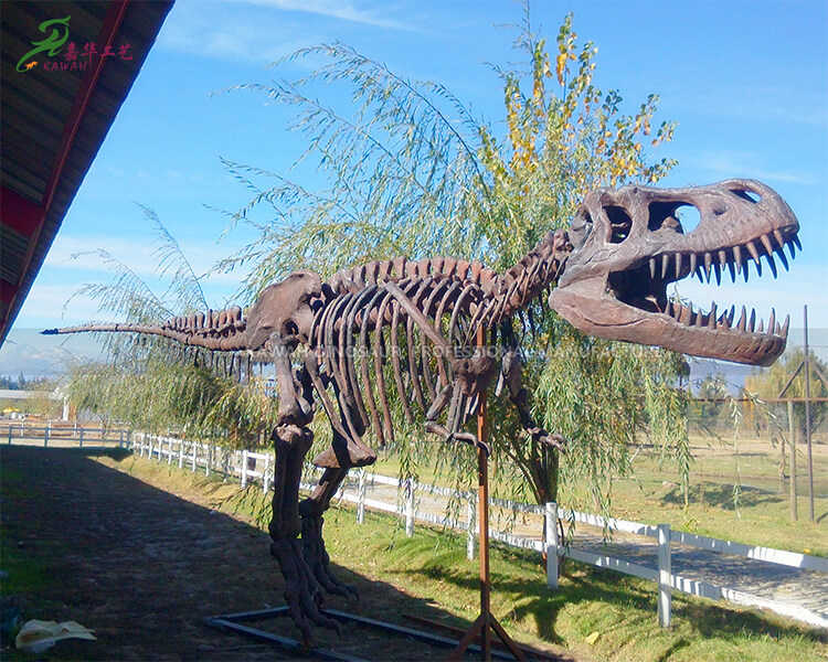 Fabrieksmatig vervaardigde, op maat gemaakte replica's van dinosaurussen voor buiten, replica van een T-Rex schedel van 8 meter lang te koop SR-1817