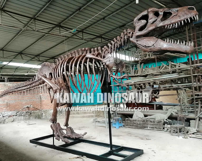 2 ဒိုင်နိုဆောအရိုးစုပုံတူများကို မည်သို့ပြုလုပ်ထားသည်။