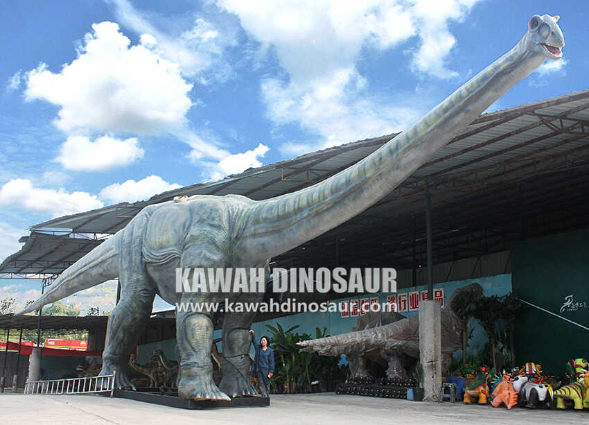 2 Länge 23 m Höhe 7 m Apatosaurus