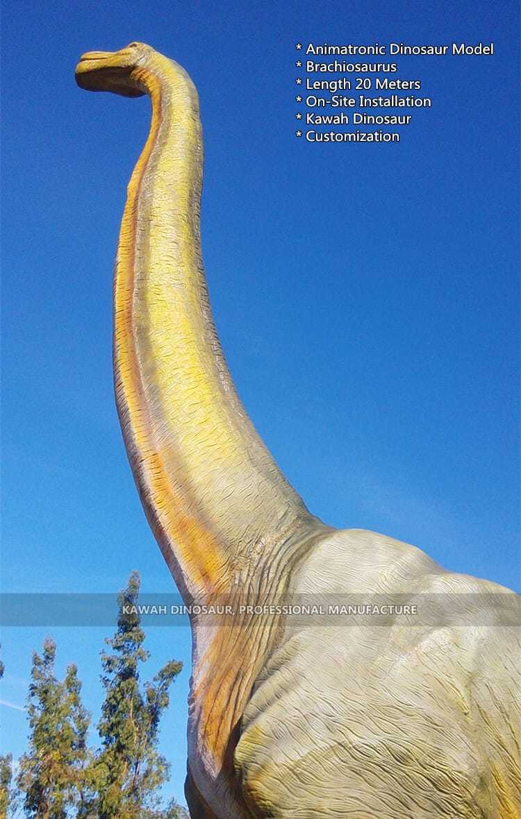 20 Meters Brachiosaurus installation (5)