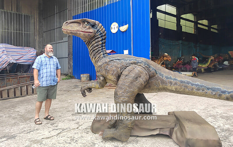 3 Accompanying American customers to visit Kawah Dinosaur Factory