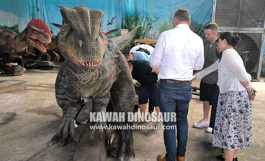 3 Accompanying British customers to visit Kawah Dinosaur Factory.