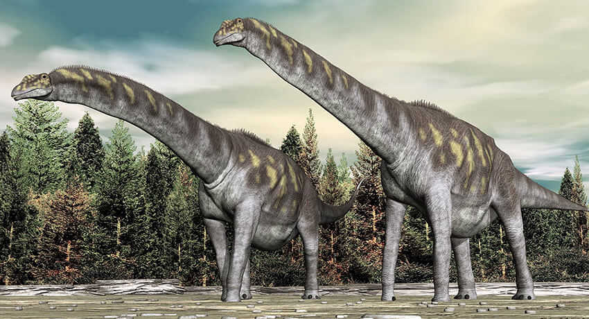 3 Argentinosaurus