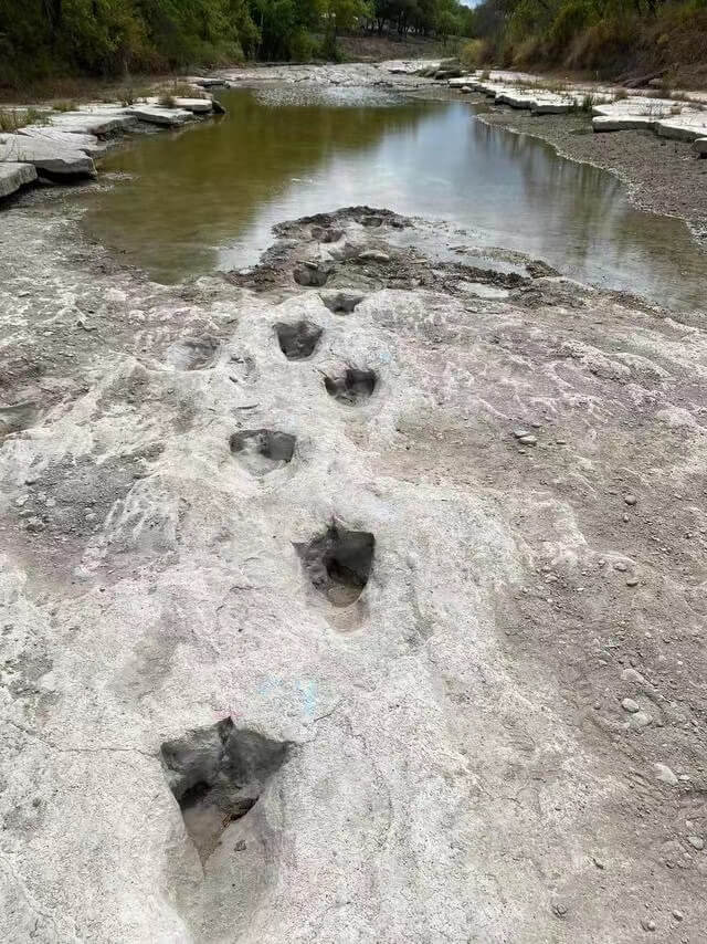 3 Drought on U.S. river reveals dinosaur footprints