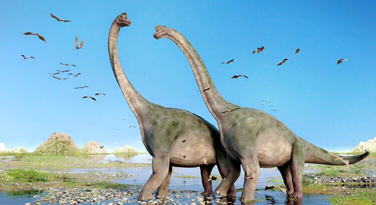 3 The 3 Main Periods of Dinosaur Life.