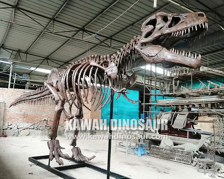 3 е скелетът на Тиранозавър Рекс, видян в музея, истински или фалшив