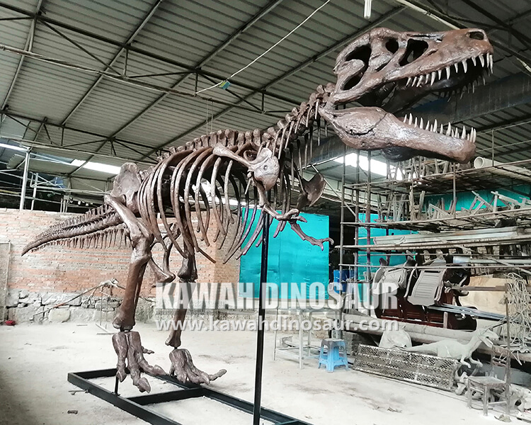 3 ndiyo Tyrannosaurus Rex skeleton inoonekwa mumuseum chaiyo kana fake