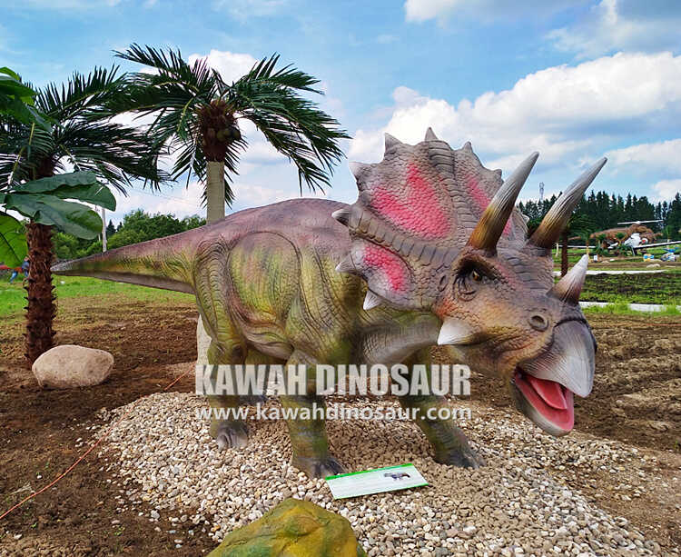 4 کیا آپ Triceratops کے بارے میں یہ راز جانتے ہیں؟