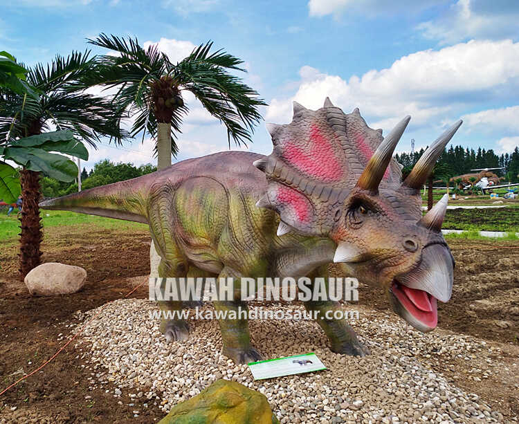 4 Do you know these secrets about Triceratops