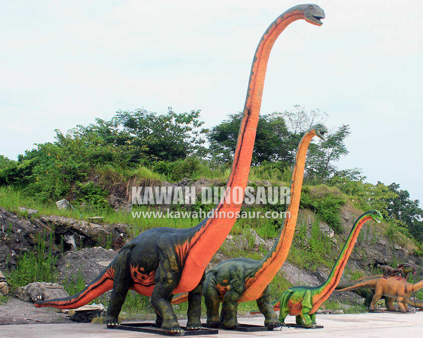 4 Garums 15M, 10M, 6M Shunosaurus