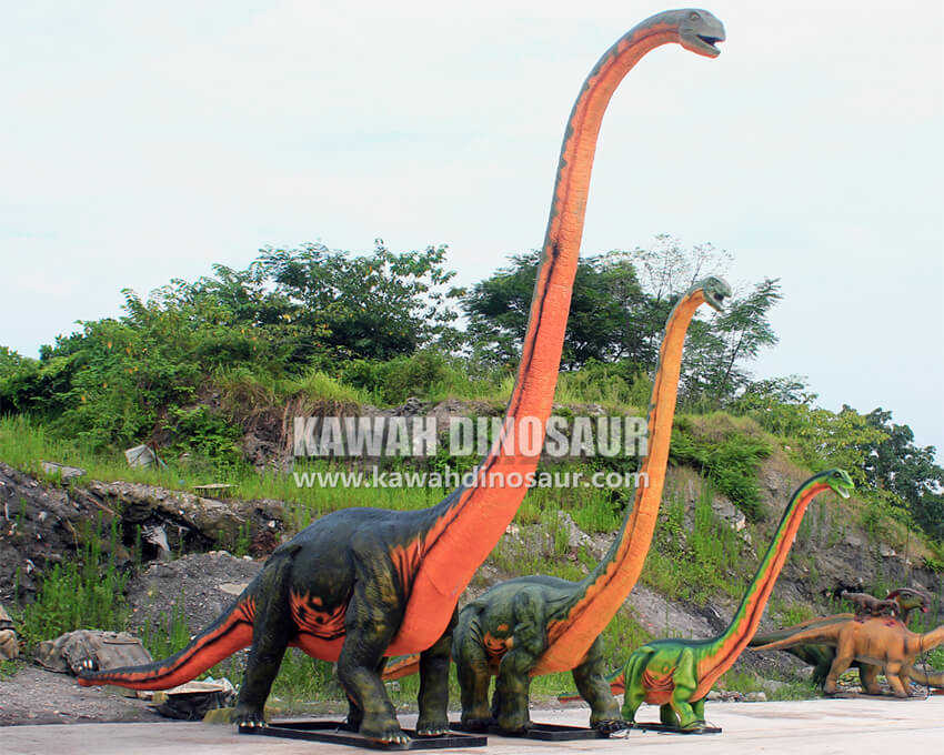 4 ຄວາມຍາວ 15M, 10M, 6M Shunosaurus