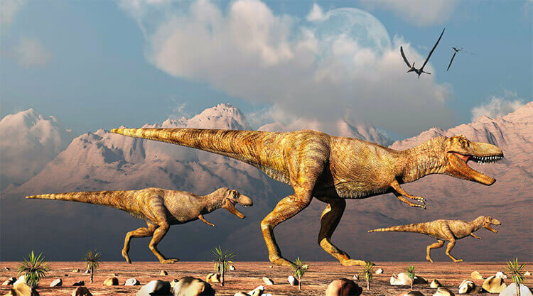 4 The 3 Main Periods of Dinosaur Life.