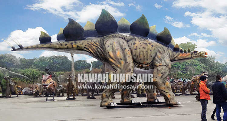 4 What is the function of the “sword” on the back of Stegosaurus
