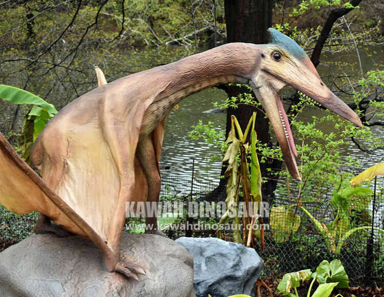 4 Zigong Kawah Dinosaur Factory რეალისტური პტეროსაურია