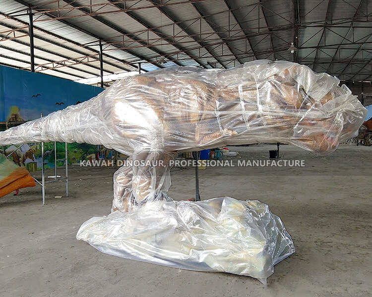 Iṣakojọpọ dinosaur mita 5 (2)