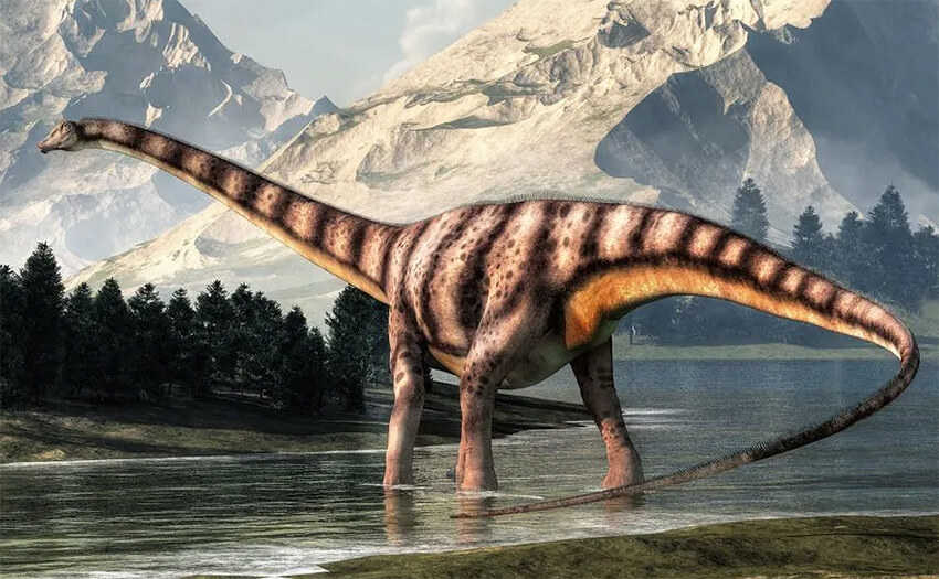 7 diplodocus