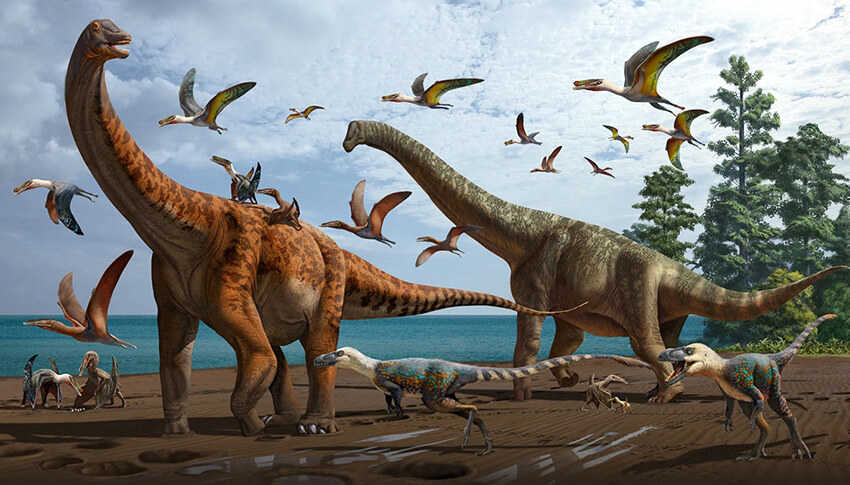 9 Khủng long Apatosaurus