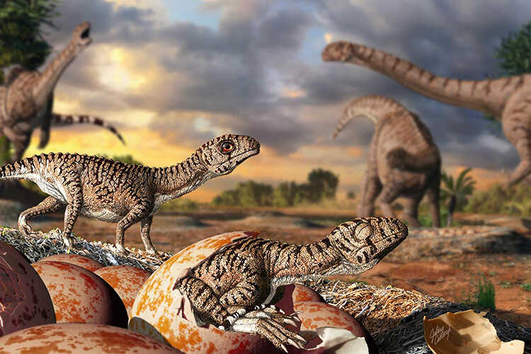 Otu esi ekpe ikpe nwoke na nwanyị dinosaurs2