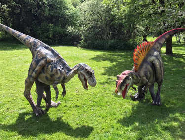 Dinosaurs duel in the park (7)
