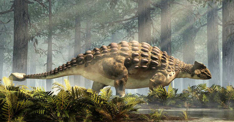 kawah dinosaur Ankylosaurus
