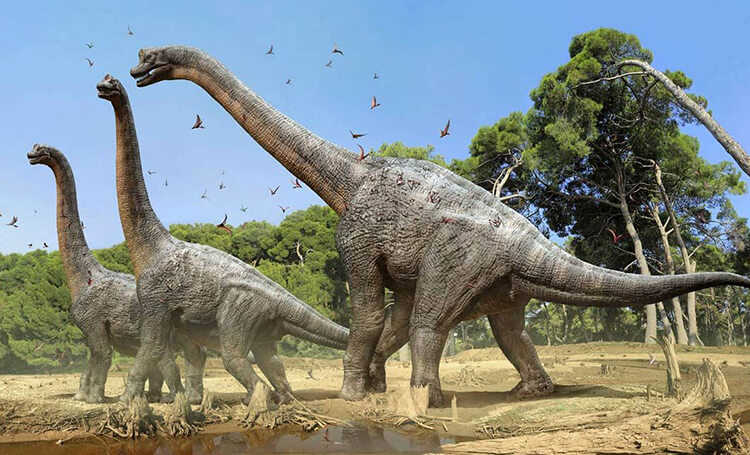 Dinosaurio kawah Brachiosaurus