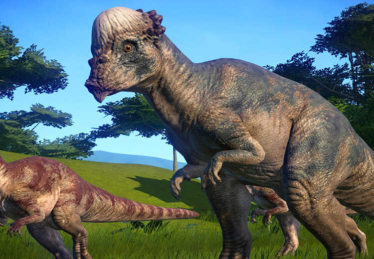 kawah dinosauri Pachycephalosaurus