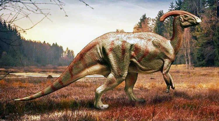 kawah dinozawr Parasaurolophus