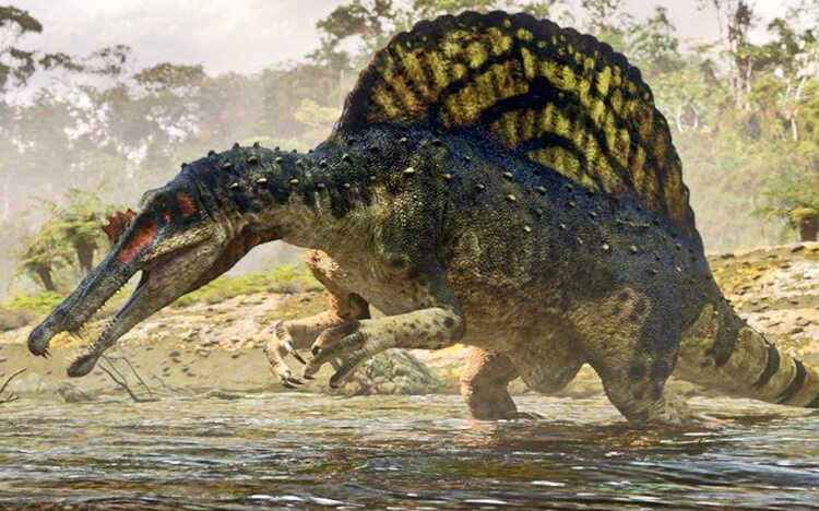 kawah dinozavr Spinosaurus